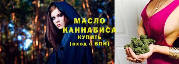 молекула духа Переславль-Залесский