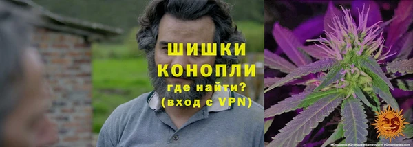 круглые Пересвет