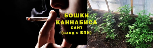 круглые Пересвет