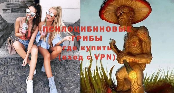 молекула духа Переславль-Залесский