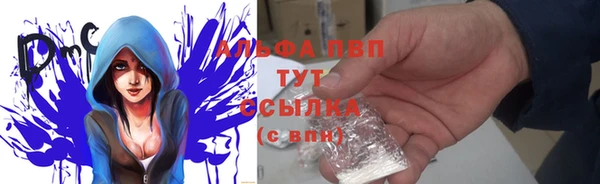молекула духа Переславль-Залесский