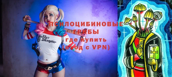 круглые Пересвет