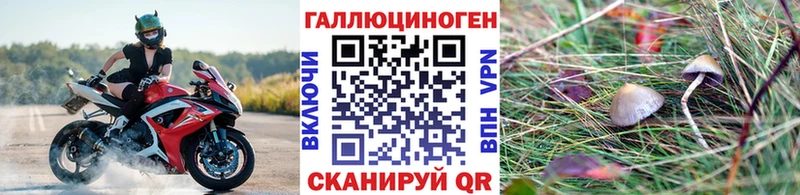 Галлюциногенные грибы Psilocybine cubensis Томари